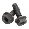 ROSE Bikes Bolts Set for Base Singlespeed Hub "The Bruce”| Accessories