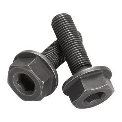 ROSE Bikes Bolts Set for Base Singlespeed Hub "The Bruce”| Accessories