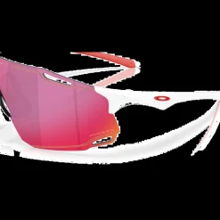 ROSE Bikes CYBR DYNO Sports Sunglasses| Sunglasses