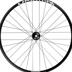 ROSE Bikes Deemax Park Disc 29” MTB Front Wheel BOOST (15 x 110 mm) 6 Bolt| MTB