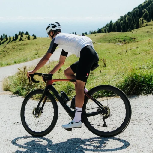 ROSE Bikes ENTRATA 6 JERSEY Cycling Jersey| Road Jerseys|Short Sleeve Jerseys