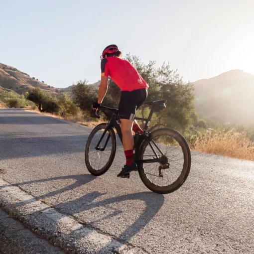 ROSE Bikes FS260 TRIKOT Short-Sleeved Road Cycling Jersey| Road Jerseys|Short Sleeve Jerseys