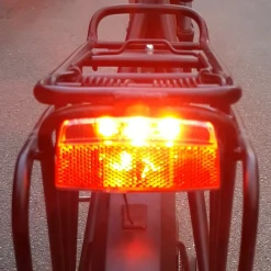 ROSE Bikes G-Ray-E2 E-Bike Rear Light with Brake Light Function| E-Bike Lights|Lights