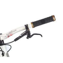 ROSE Bikes Saint BR-M820 Disc Brake| Disc Brakes